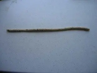 Grissini aux céréales : Étape 7