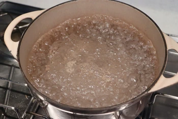 Foie gras en ballotine : Étape 17