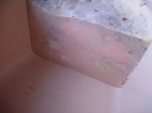 Terrine de foie gras