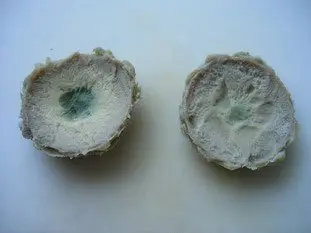 Fonds d'artichauts forestiers : Étape 2