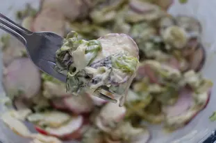 Salade mélangée gros radis et avocat