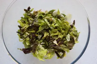 Salade mélangée gros radis et avocat : Étape 5