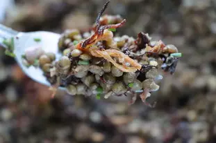 Salade de lentilles Cajun