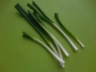 Salade de chou rouge à la ciboule : Étape 7