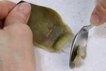 Potage à l'artichaut : Étape 2