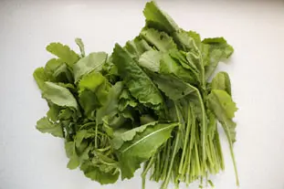 Potages de fanes : Étape 1