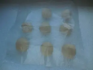 Pains pour hamburger : Étape 5