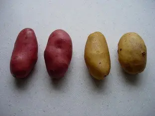 La cuisson des pommes de terre dans l'eau : Étape 1