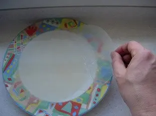 Nems au poulet : Étape 12