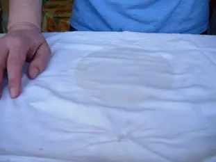 Nems au poulet : Étape 13