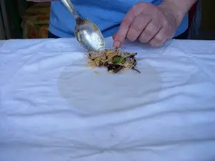 Nems au poulet : Étape 15