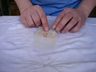 Nems au poulet : Étape 17