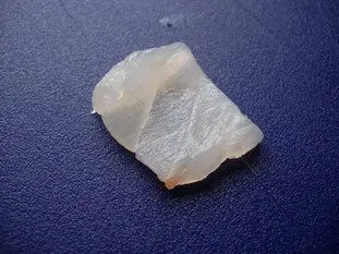 Poisson Tahitien : Étape 2