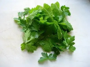 Thon mariné aux herbes : Étape 2