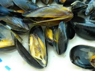 Moules marinières : Étape 10
