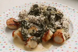 Noix de Saint-Jacques à l'oseille et au Noilly