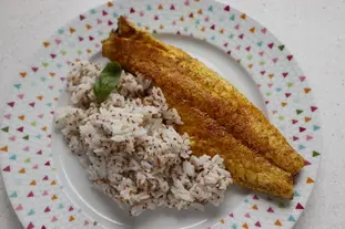 Filet de bar de retour des indes