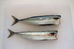 Rillettes de maquereau : Étape 1