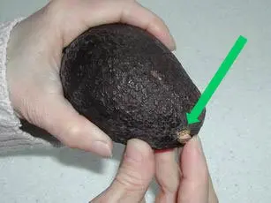 Comment bien choisir un avocat