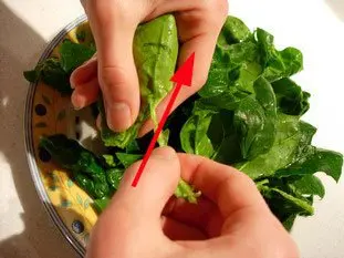 épinards retrait nervure centrale