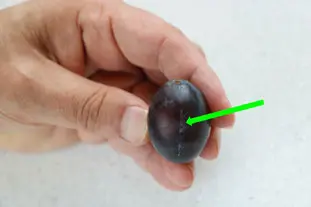 Comment congeler des prunes : Étape 2