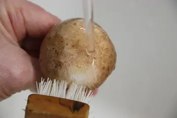 Comment préparer des champignons frais : Étape 7