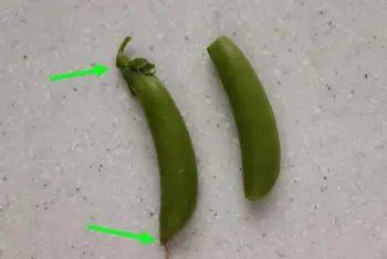 Comment préparer des petits pois nouveaux : Étape 2