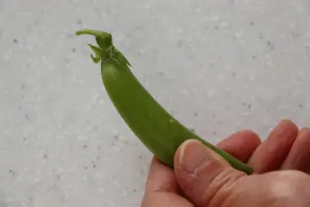 Comment préparer des petits pois nouveaux : Étape 3