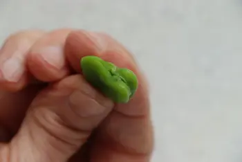 Comment préparer des fèves : Étape 12