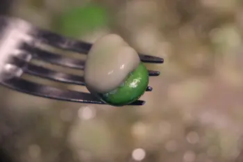 Comment préparer des fèves : Étape 4