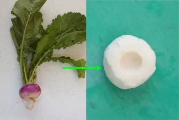 Comment préparer des navets