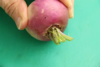 Comment préparer des navets : Étape 3