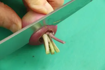 Comment préparer des navets : Étape 4