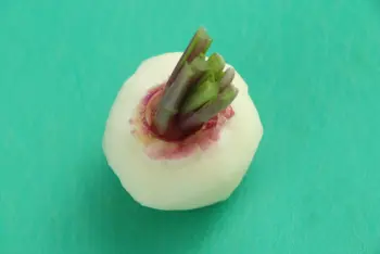 Comment préparer des navets : Étape 9