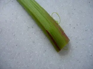 Comment préparer de la rhubarbe : Étape 4