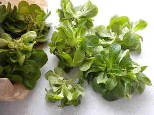 Comment préparer de la mâche : Étape 1