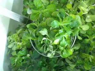 Comment préparer de la mâche : Étape 3