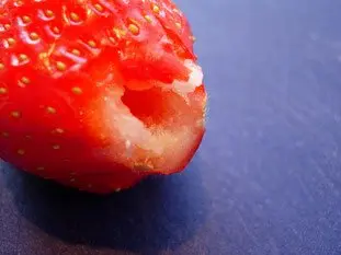 Il ne faut pas faire tremper les fraises dans l'eau : Étape 1