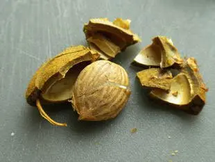 Il ne faut pas jeter les noyaux d'abricots : Étape 1
