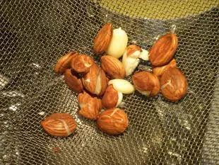 Il ne faut pas jeter les noyaux d'abricots : Étape 5