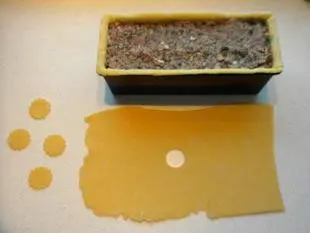 Pâté en croute : Étape 16