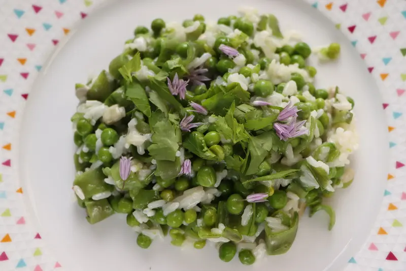 Fèves primeurs, petits pois et riz crémeux
