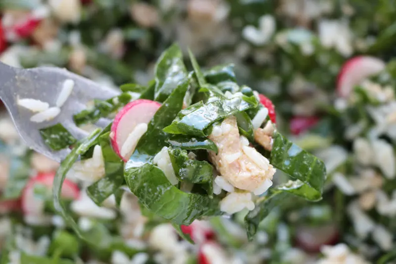 Salade de riz et épinards frais