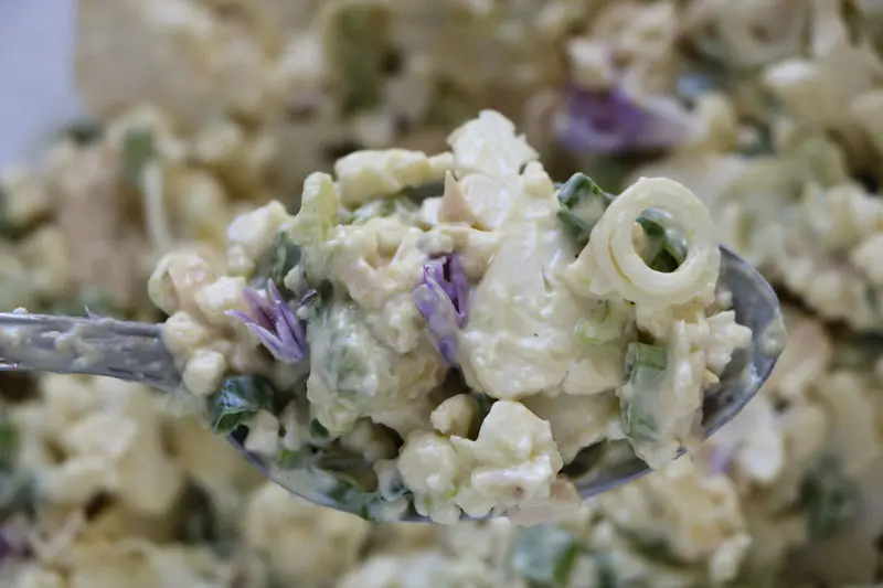 Salade chou-fleur, poulet et avocat