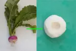 Comment préparer des navets